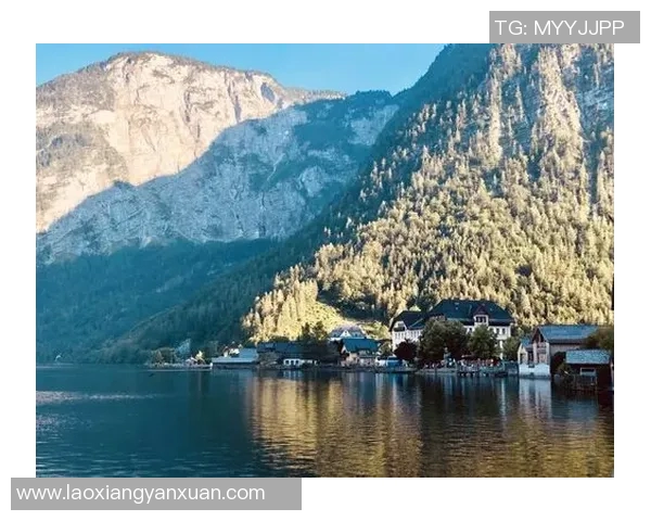 老男孩与帕特罗纳图的对决：谁能在音乐与人生的旅途中胜出