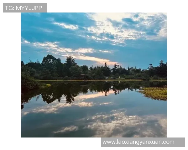 鸟栖沙岩与清风拂面之间的自然和谐与人文交融探讨